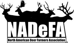 NADeFA Logo